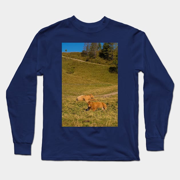 Italian Alpine Cows Long Sleeve T-Shirt by jojobob